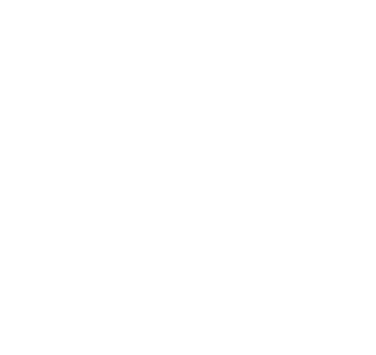 Stern Weber